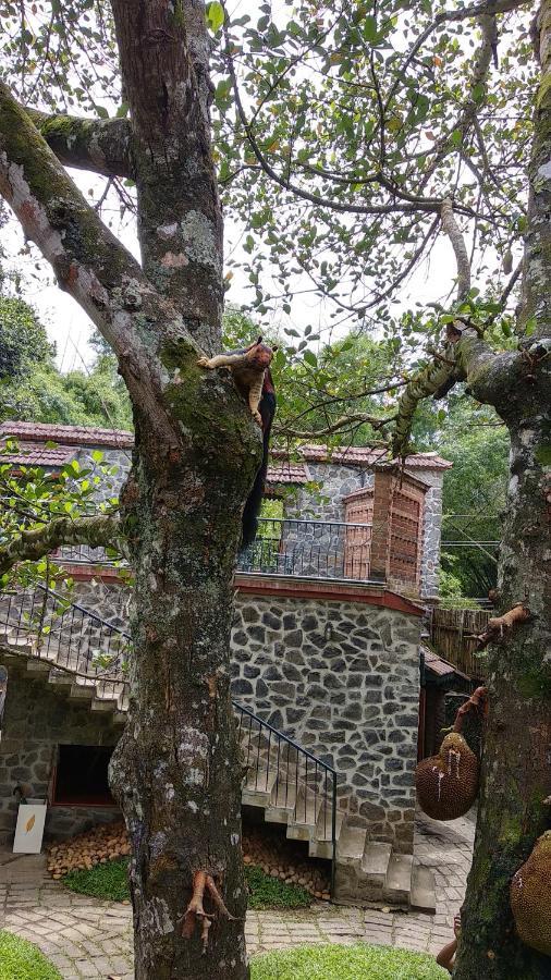 Wildernest Bed & Breakfast Thekkady Luaran gambar