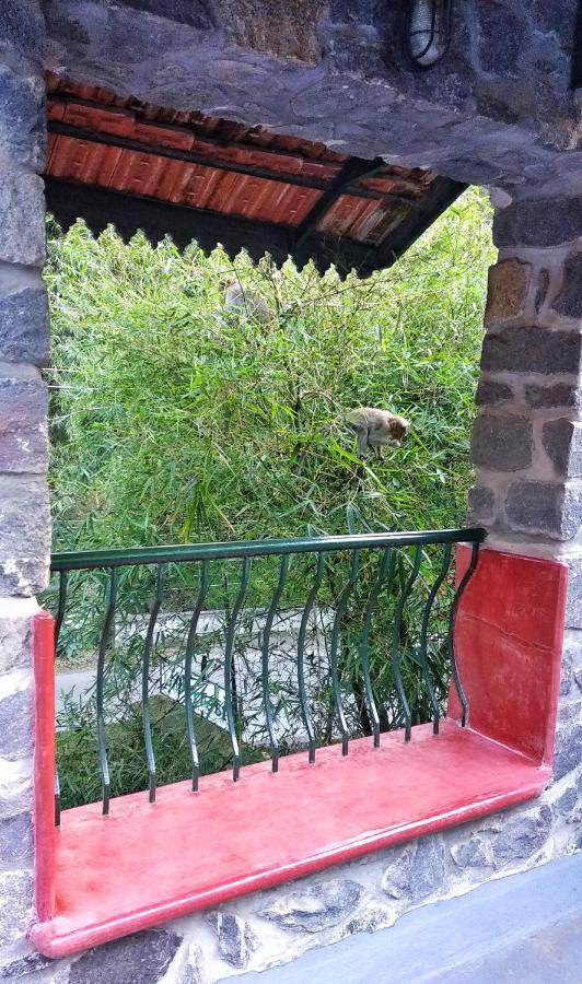 Wildernest Bed & Breakfast Thekkady Luaran gambar